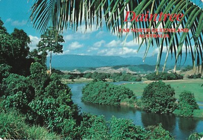 DAINTREE RIVER FAR NORTH QUEENSLAND VINTAGE MURRAY VIEWS AUSTRALIA POSTCARD 