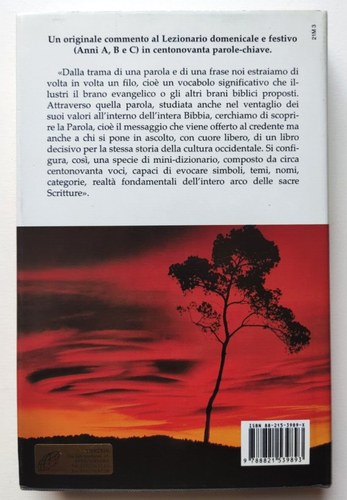 Libro La Parola E Le Parole Vocabolario Della Bibbia G.Ravasi San Paolo (L58 - Picture 3 of 3