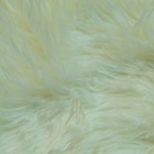 Bild 11 von 14