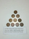 Lot #765 10 Beautiful Indian Head Penny Coins 1880 to 1889 VG-F See Pictures