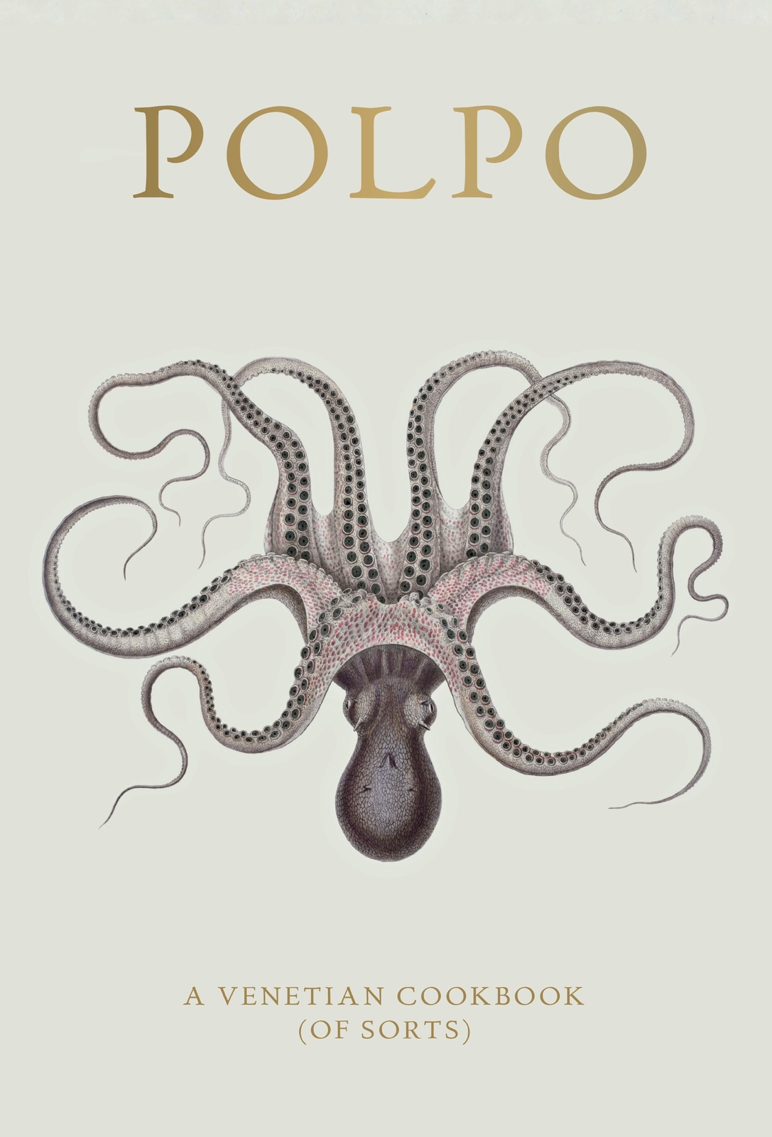 Thumbnail - Russell Norman | Polpo | Buch | Englisch (2012) | A Venetian Cookbook