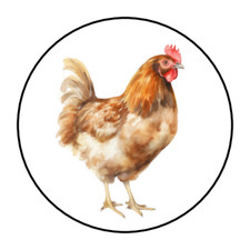 Chicken hen stickers tags envelope seals egg carton labels