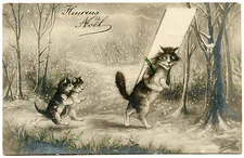 Maurice Boulanger. Non Signed .not Signed. Chat.cat Katze. Chatons. Kittens