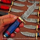 Lot of 10pc 6'' Damascus Steel Skinning/Hunting Knife Wood Handle W Sheath mb308 — photo 4