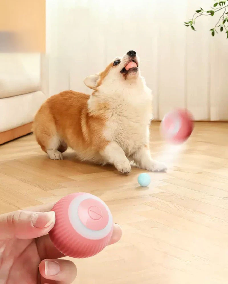 Electric Dog Ball Toys Auto Rolling Smart Dog Toys for Dogs Training  Self-Moving