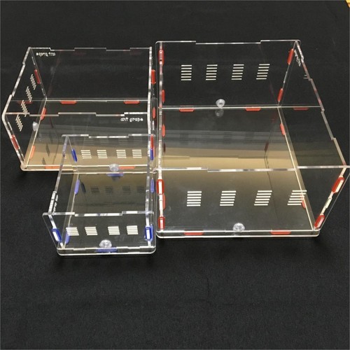 Acrylic Ant Outworld Nest Foraging Feeding Area Farm Housing for Ant Colony New - Picture 11 of 24