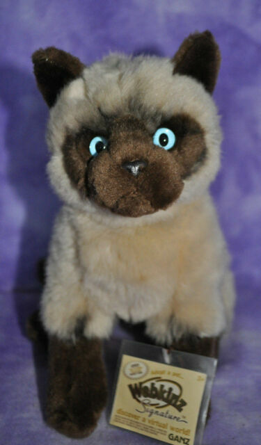 siamese cat webkinz