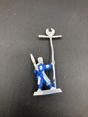 Metal High Elf Standard Bearer Command - Warhammer Age of Sigmar