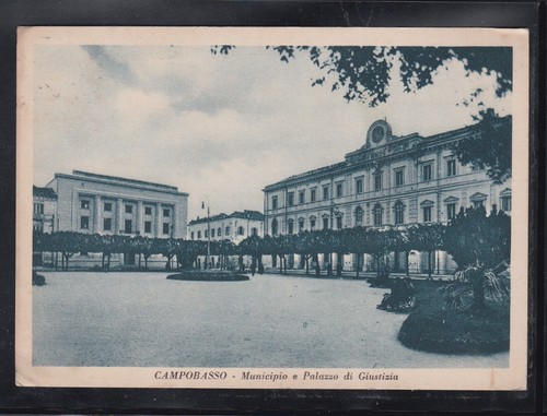 Cartolina Campobasso Municipio e Palazzo di Giustizia P126 - 第 1/1 張圖片