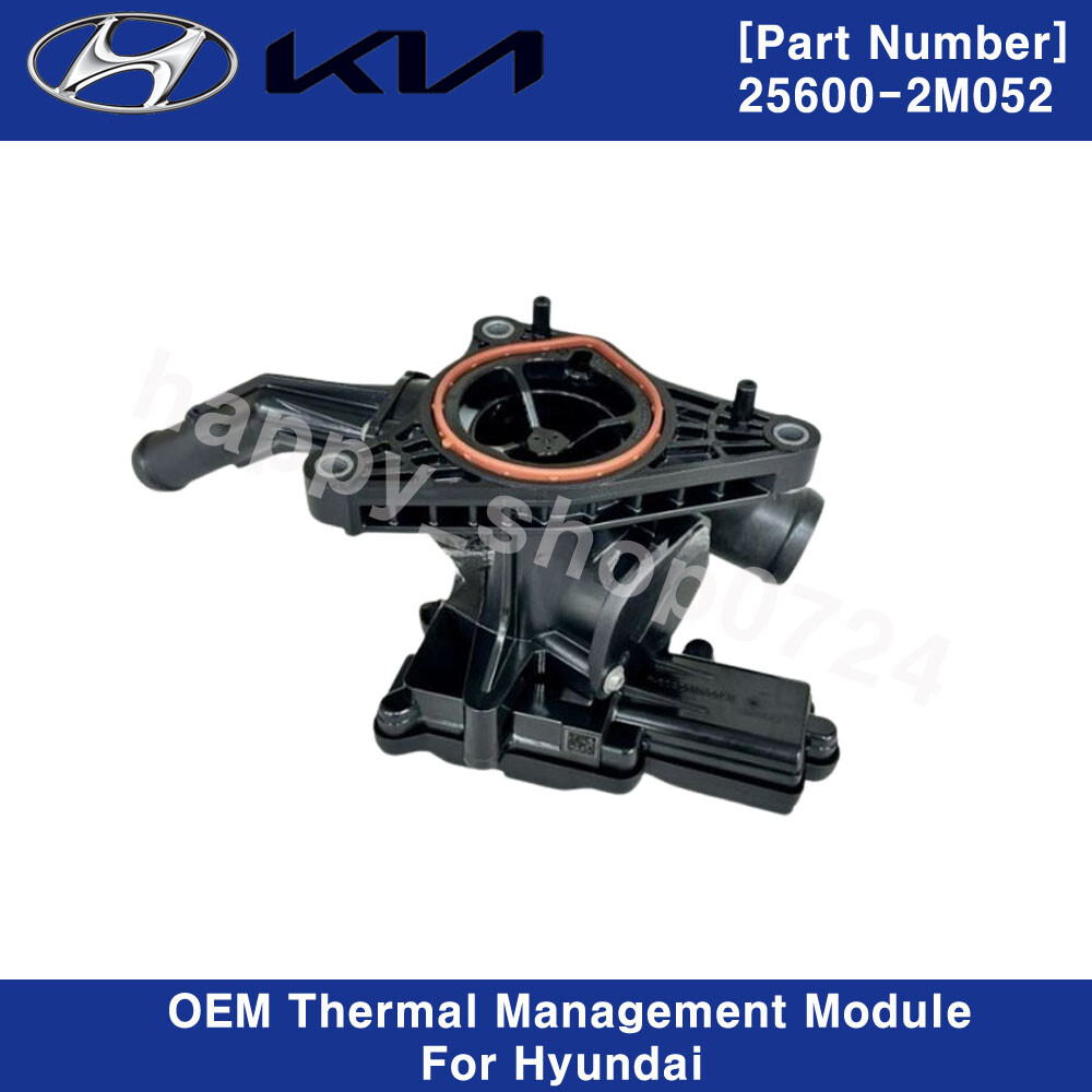 Genuine 256002M052 Thermal Management Module for Hyundai Accent