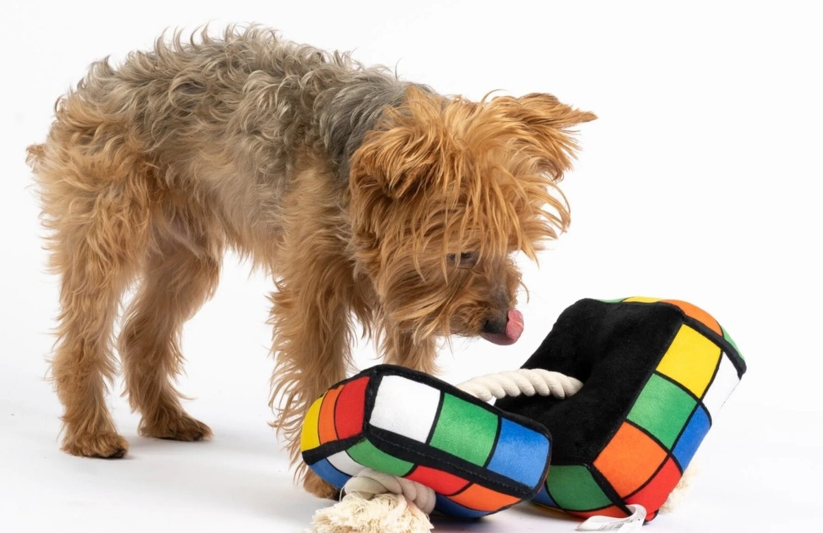 NEW! ROBIX CUBE DOG TOY PREMIUM INTERACTIVE PLUSH w/ TUG ROPE