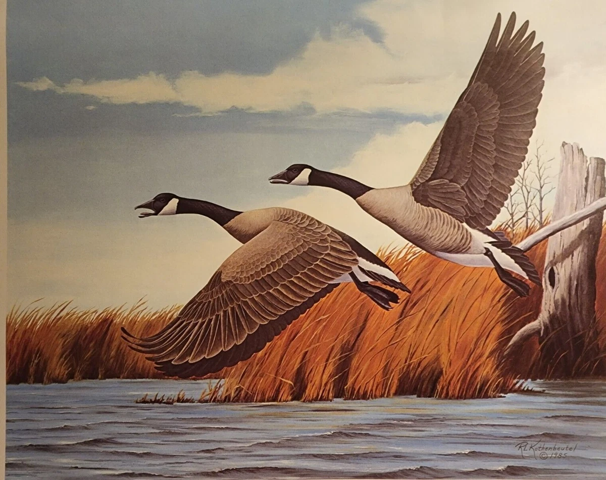 Canada clearance goose inc