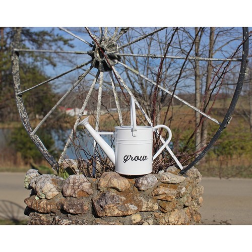 Farmhouse Enamelware Watering Can; Rustic Metal Pitcher Gardening/ Decor Vase - Picture 8 of 20