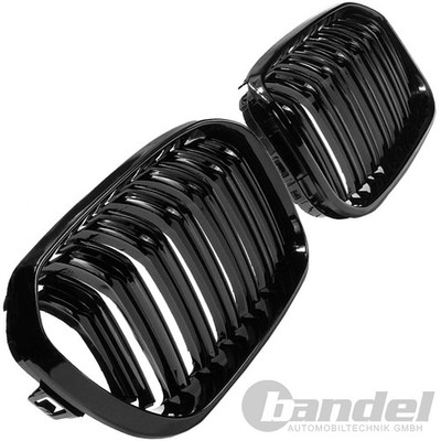 B1 DOPPELSTEG KÜHLERGRILL SPORT NIEREN SCHWARZ Ref.No. 11307044