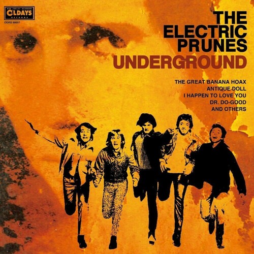 *NEW* CD Album Electric Prunes Underground (Mini LP Style Card Case