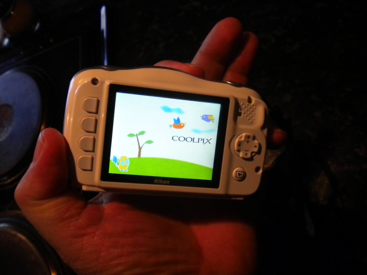 Nikon COOLPIX S33 13.2MP Digital Camera - White for sale online | eBay