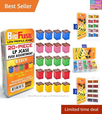 LP Low Profile JCASE 20-Piece Cartridge Fuse Assortment 20A 30A 40A 50A 60A 4...
