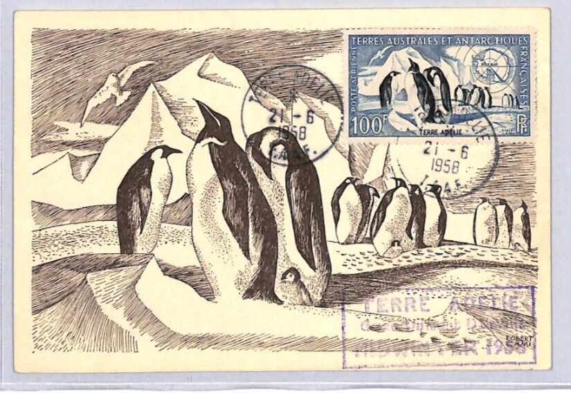 FRENCH ANTARCTICA TAAF Card PENGUINS 100f Stamp 1958 SIGNED Chef Expedition YF41 - Image 2 of 4