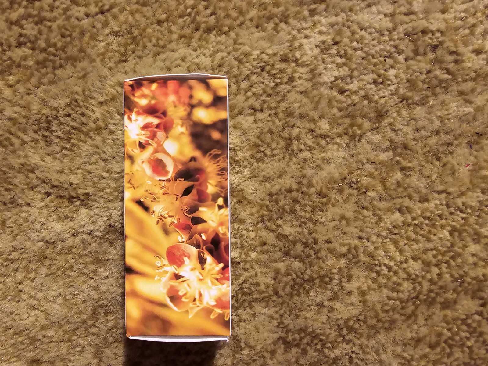 Picture 4 of 9
