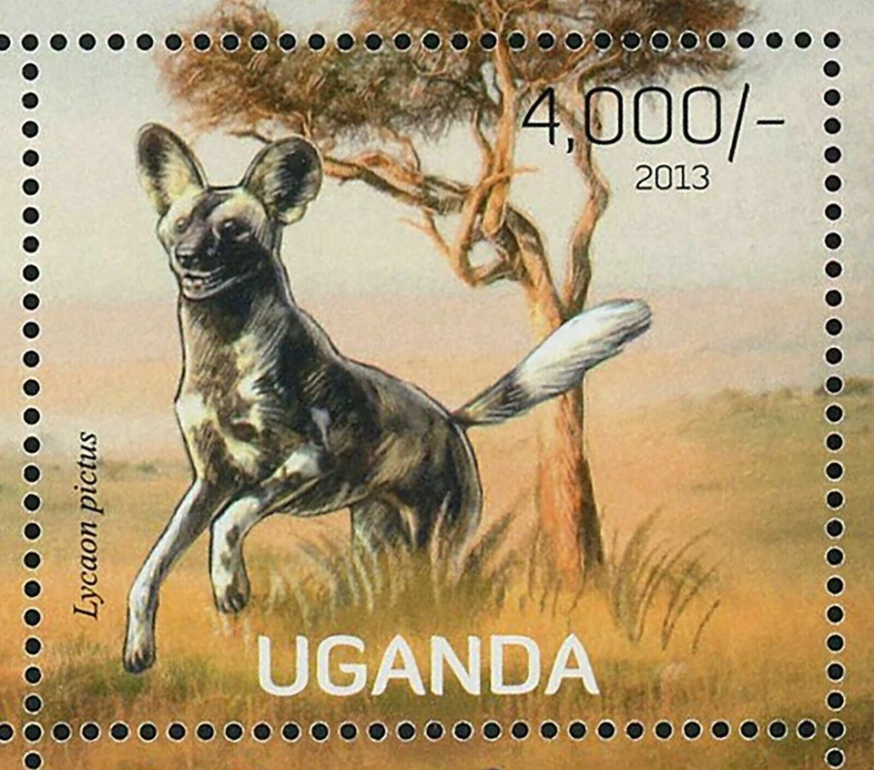 Folha de lembrança de animais selvagens selo de cachorros selvagens Lycaon Pictus MNH #3050-3053 - Imagem 4 de 4