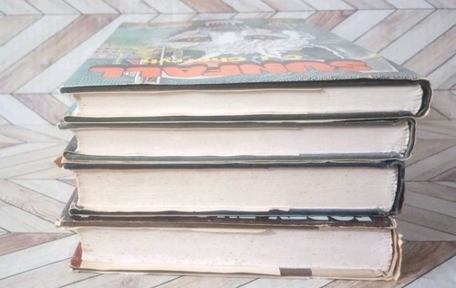 C.J. Cherryh, 4 Hardcover Lot, Sunfall, Port Eternity, Serpent's Reach, Gehenna - Bild 6 von 8