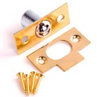 LARGE 19mm BALES CATCH & KEEP PLATE SCREWS Door Cupboard Roller Ball Latch BRASS