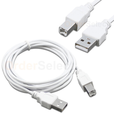 NEW 6ft USB2.0 A Male to B Male Printer Scanner Cable Cord HOT! (U2A1-B1-06WHT)