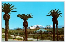 Vintage 1950s- Greetings From Redlands, California Postcard (UnPosted)