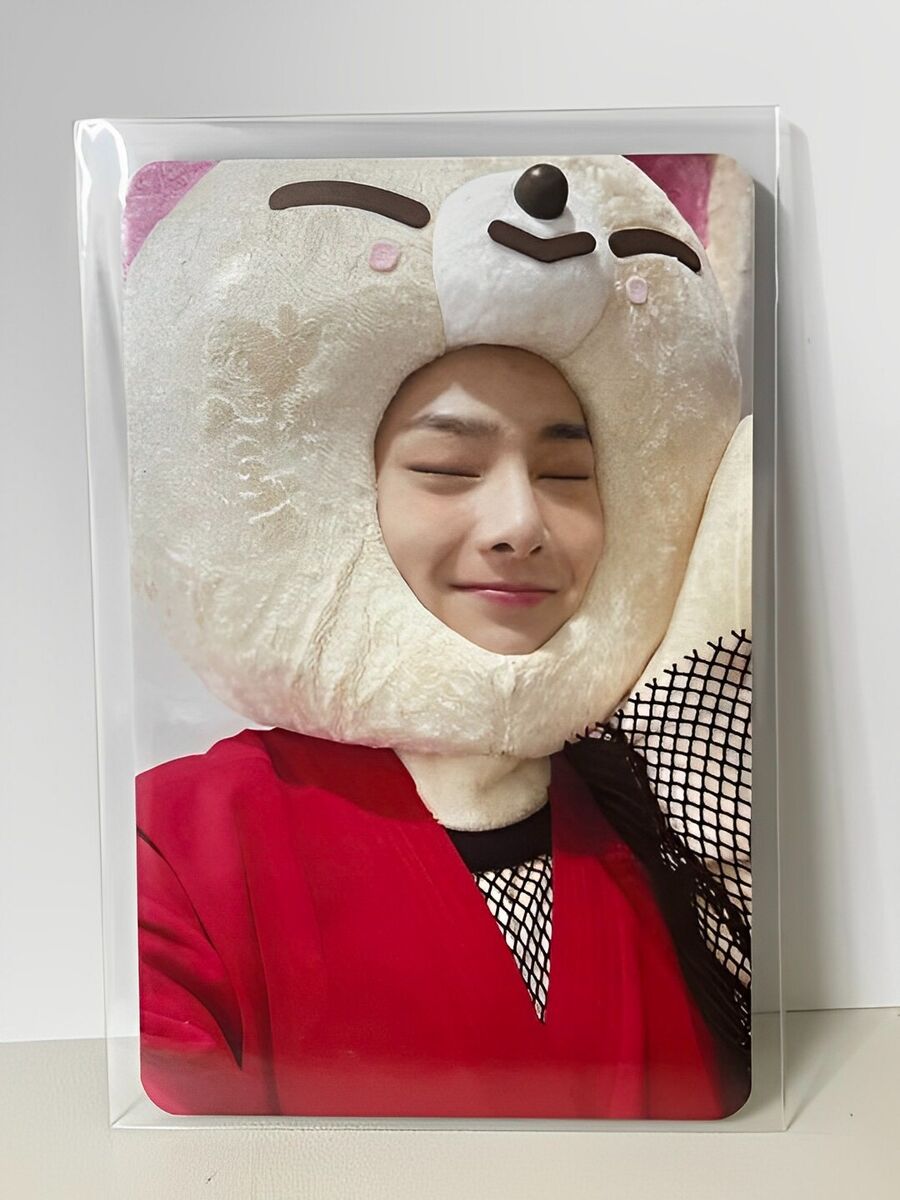 Stray Kids SKZ I.N SKZOO NOEASY soundwave Photocard PC Kpop Stray Kids SKZ I.N SKZOO NOEASY soundwave Photocard PC Kpop