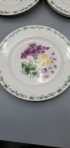 Floral Botanic Garden Lunch Salad Dessert 7 Inch Plates Set 4 Thomson Pottery - Picture 16 of 16