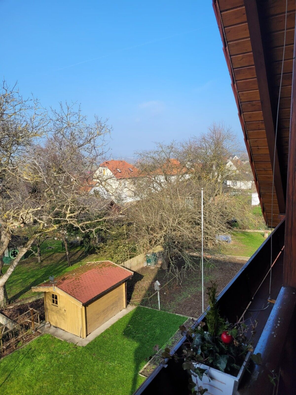 Bild 8 von 24