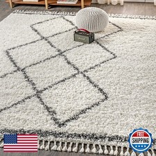 Mercer Shag Plush Tassel Rug - Cream & Gray - 3x5