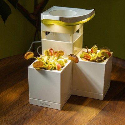 LeGrow Venus Fly Trap Pot, 50000lux Grow Light with Timer, 7 Days White 