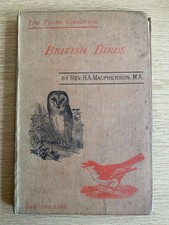 An Introduction to the Study of British Birds - The Young Collector. Macpherson