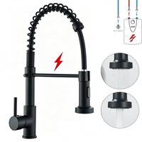 Niederdruck Armatur Wasserhahn 360° Schwarz KüChenarmatur Ausziehbar Mit Brause