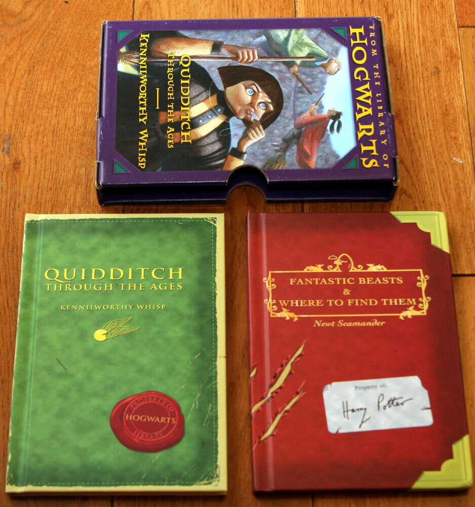 From Library HOGWARTS Quidditch Through the Ages + Fantastic