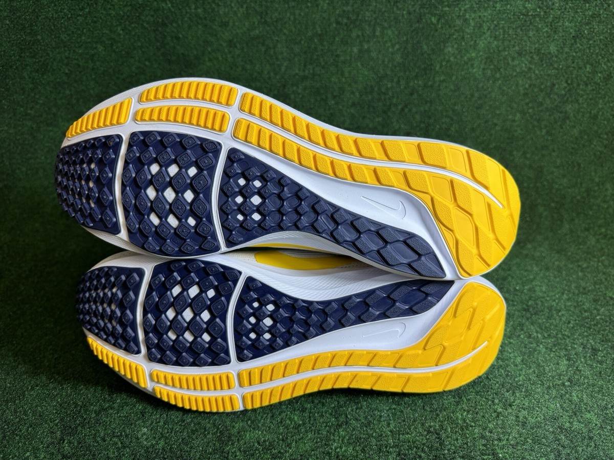 NEW 2023 Michigan Wolverines Nike Air Zoom Pegasus 40  display picture 2