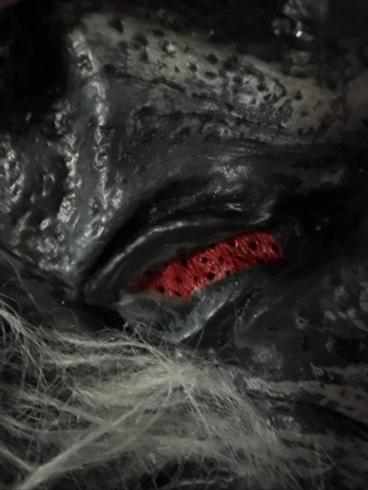 Halloween Grey Wolf Youth Kids 12-14 Mask Head Amscan 2015 Costume - Image 4 of 4