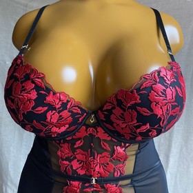 Ann Summers THE HERO Cami Suspender, Black Sheer Mesh Red Embroidered, UK 16 B-C