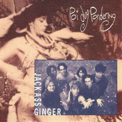 CD SINGLE Poi Dog Pondering Jack Ass Ginger Columbia