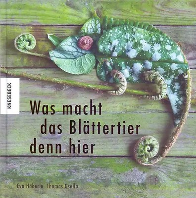 Was macht das Blättertier denn hier