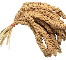 MILLET SPRAY 8-10" caged aviary bird feed budgie finch cockatiel seed food treat