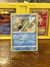 Pokémon TCG Shining Fates Chewtle SV28/SV122 Shiny Vault Baby Shiny Near Mint