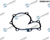 Dr.Motor Automotive Dichtung Wasserpumpe FüR Ford Ranger 2.5 TD 4X4