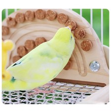Wooden Bird Parrot Perch Pet Parrot Playstand for Parakeet Cockatiel Hamster
