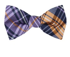 Men's Silk Pre -Tied Designer Bow Tie for Formals Weddings  Casual Dress