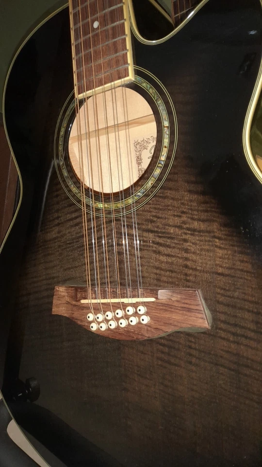 Ibanez guitar 12 corde elettrificata  - Immagine 4 di 4