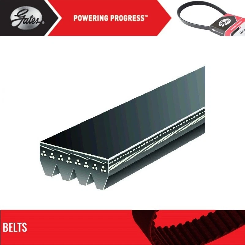 Cinturón GATES OE Micro-V para Chevrolet Express 3500 2003-2008 V8-6,0 L Foto 2 de 4