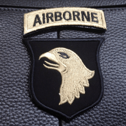 PARCHE DE LA FUERZA AÉREA GRITANDO ÁGUILAS GRITANDO EE. UU. 01a DIVISIÓN AEROTRANSPORTADA EE. UU. SSI EE. - Imagen 5 de 6