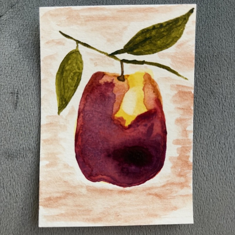 Juicy Fruit Original ACEO Watercolor Art By LJ nature painting 